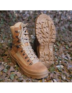 Shoe battle Cat Hot Zone 1 2