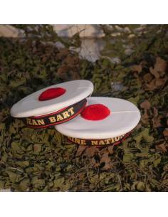 Bachi of the French Navy